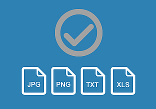 
				                    Formats of output files